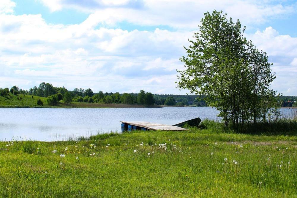 Między Olchami domek nad jeziorem. Noclegi całoroczne. Cisza, spokój. Barczewo Exterior foto